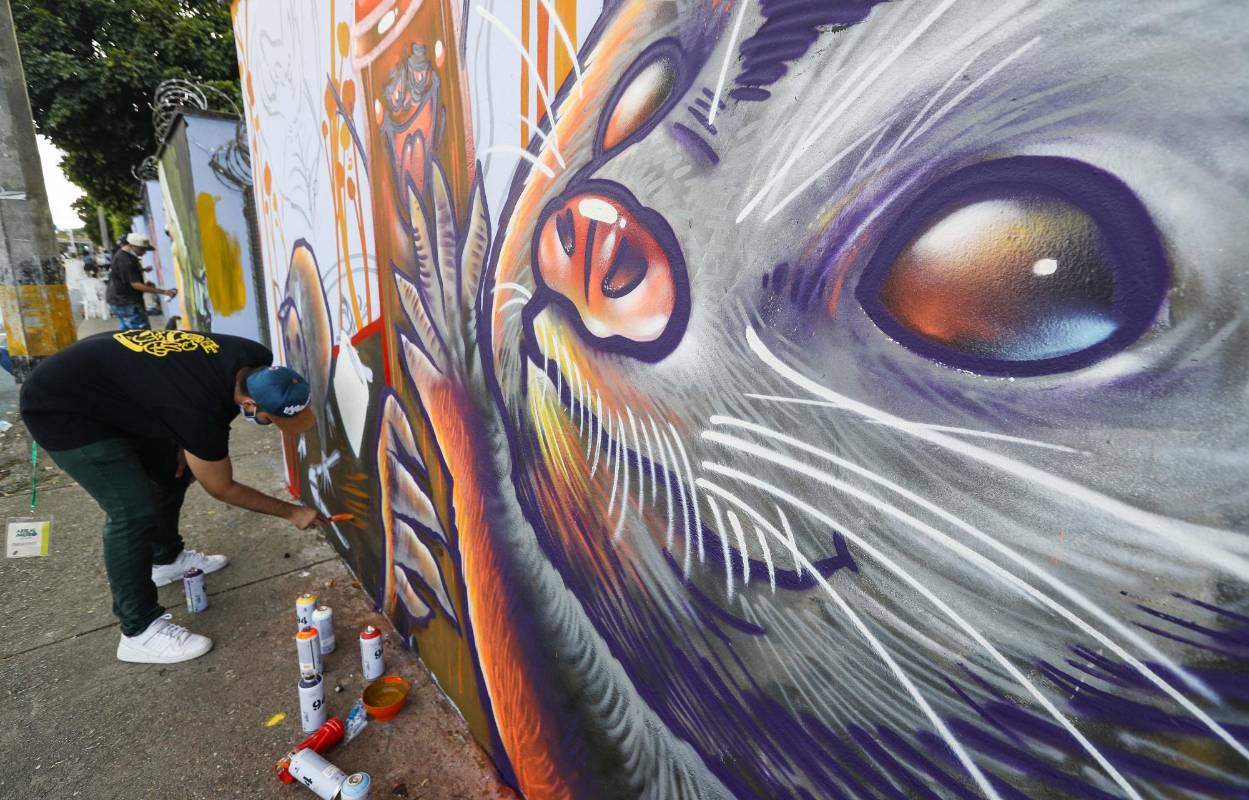 23 artistas urbanos tomaron sus aerosoles y brochas para darle color a la avenida Guayabal en el festival de grafiti de Comfenalco, Medellín. La temática de este año fue aquellos animales indeseados por ciertas personas que los consideran como “plagas” pero que son importantes para el ecosistema. Foto: Manuel Saldarriaga Quintero.