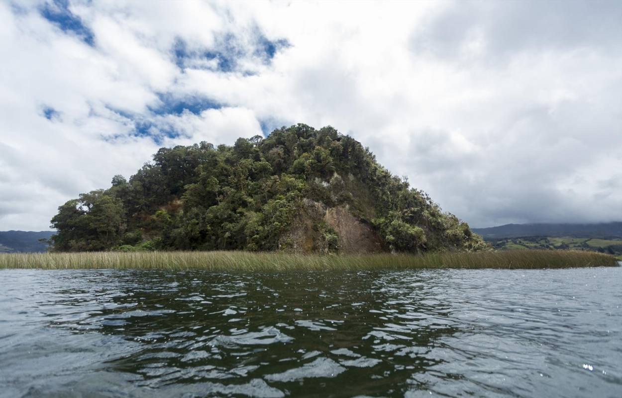 El santuario de fauna y flora isla de la Corota está ubicado en la laguna de cocha una de las mas grandes de Colombia en pasto. Foto: Camilo Suárez Echeverry.
