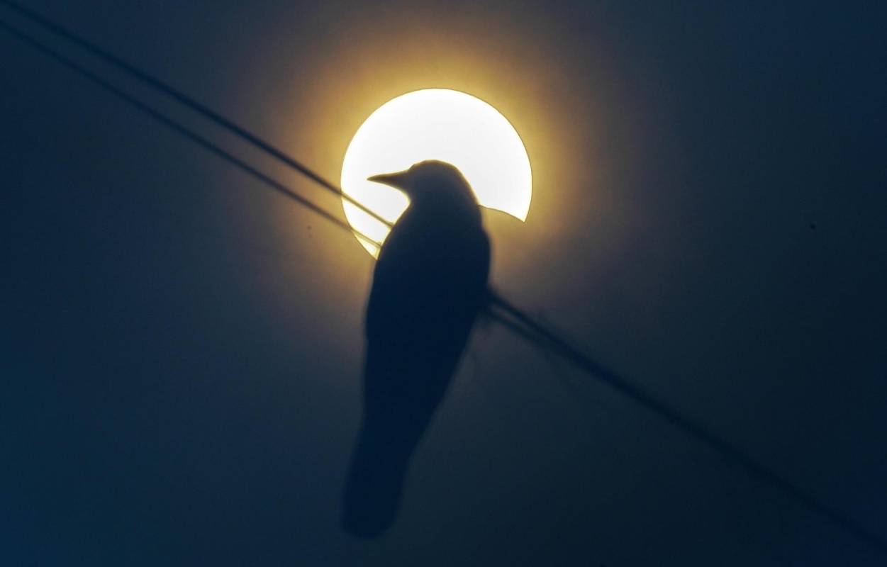  Una imagen tomada con una placa de rayos X como filtro muestra la silueta de un pájaro posado en un cable eléctrico mientras se observa un eclipse parcial de sol en el cielo nublado de las afueras de Mumbai (India), 21 de junio de 2020. FOTO EFE