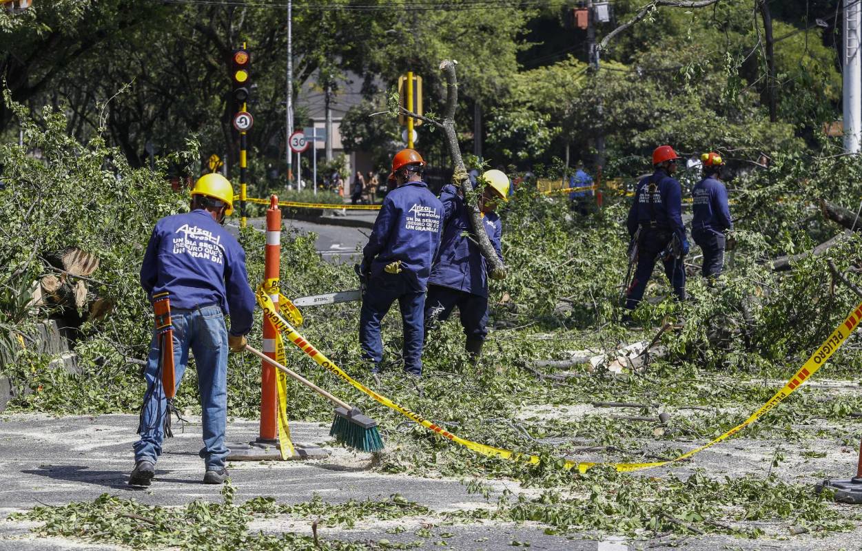 La tala comenzó el pasado 31 de diciembre y fue reactivada este sábado 4 de enero. Ciudadanos protestaron pacíficamente. Foto Manuel Saldarriaga Quintero