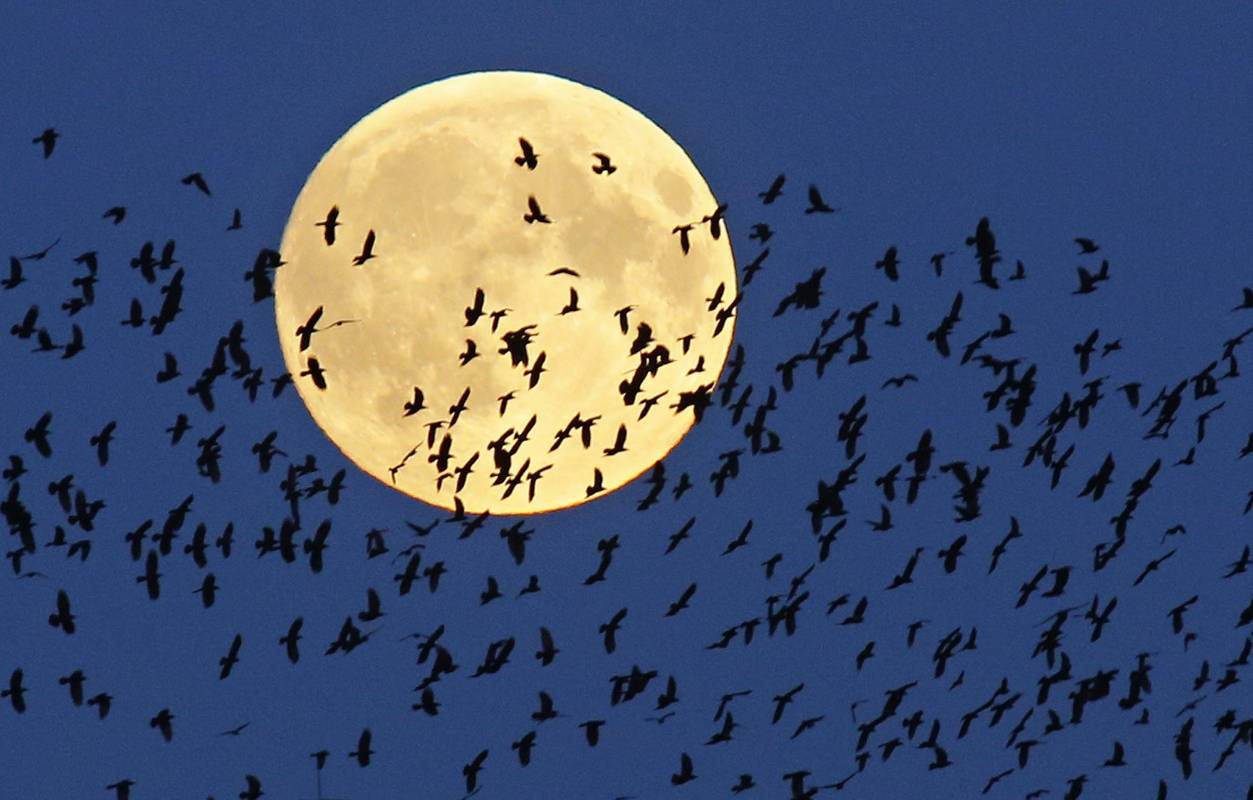En Bielorrusia el eclipse será en la madrugada del lunes, aún así ya la luna comienza a tomar un tono más intenso. FOTO AP/Sergei Grits