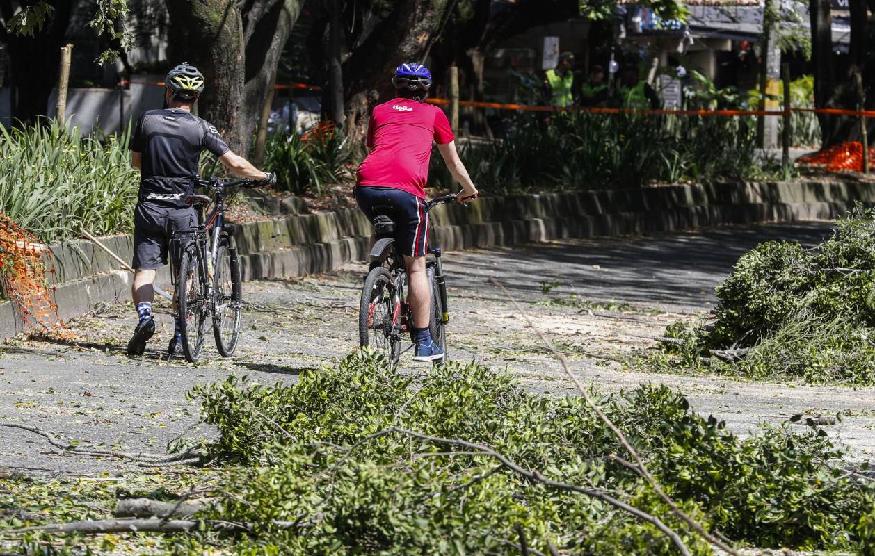 La tala comenzó el pasado 31 de diciembre y fue reactivada este sábado 4 de enero. Ciudadanos protestaron pacíficamente. Foto Manuel Saldarriaga Quintero