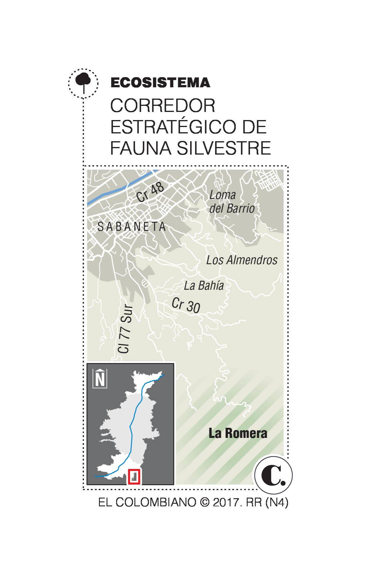 InfogrÃ¡fico