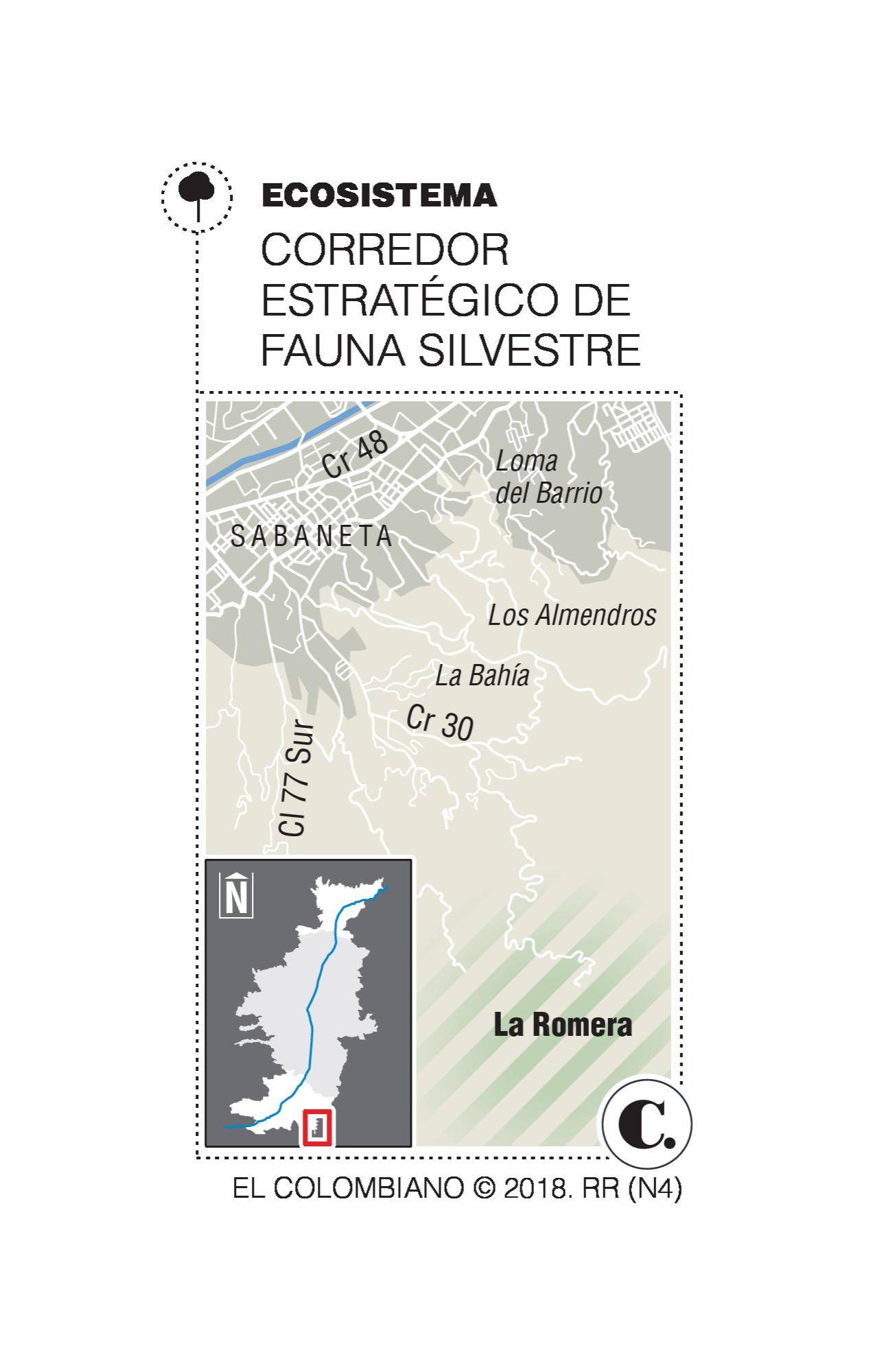 InfogrÃ¡fico