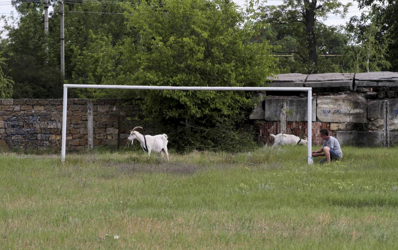 Algunas cabras caminan cerca de un arco de la aldea de Pervomayskoye, Crimea. Foto: REUTERS / Pavel Rebrov