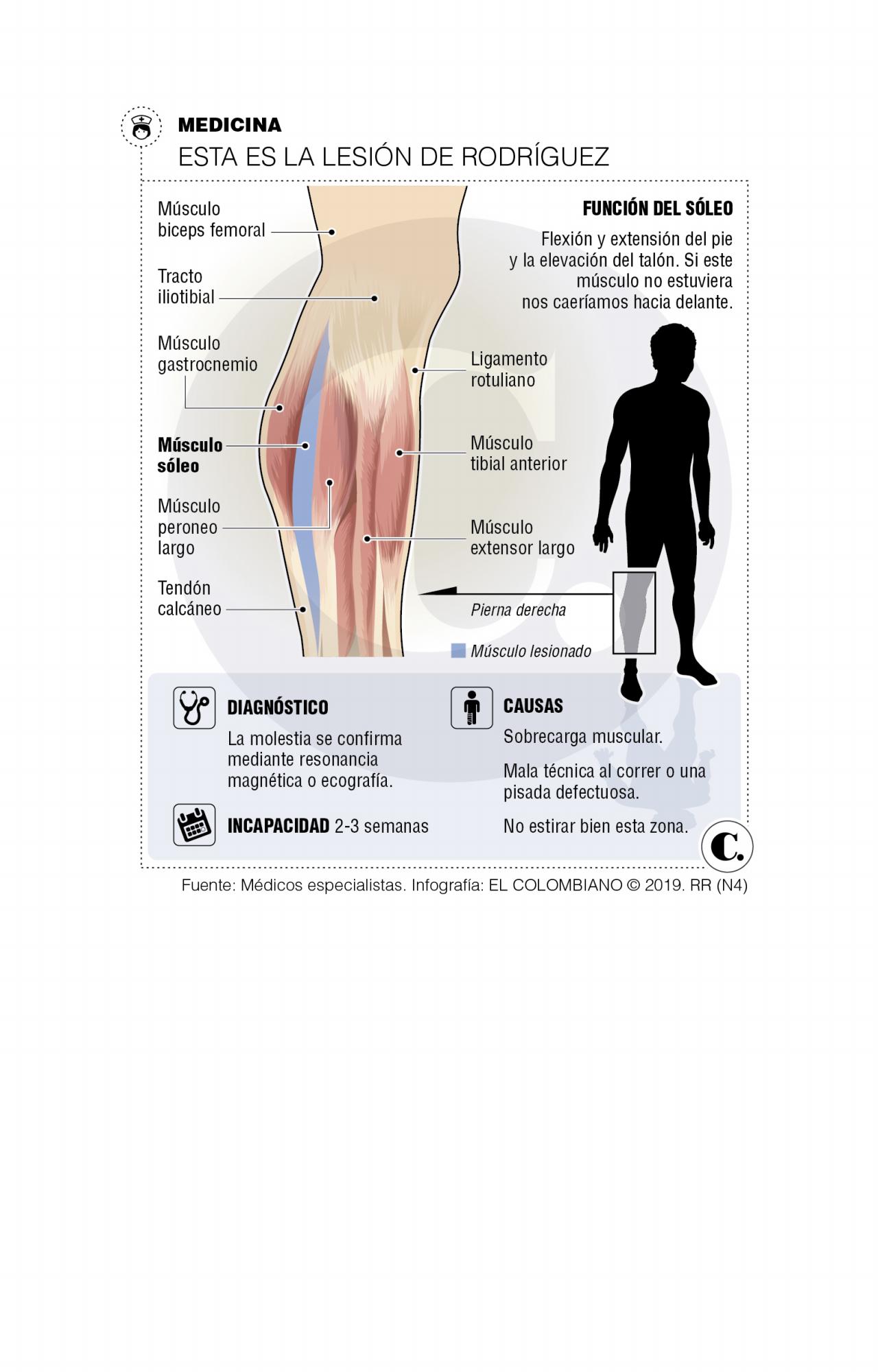 InfogrÃ¡fico