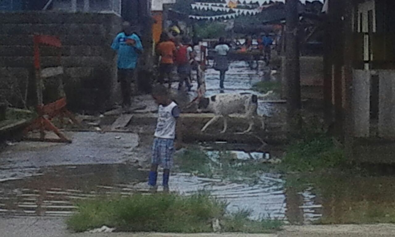 Los cultivos se perdieron, según la Alcaldía municipal. FOTO CORTESÍA