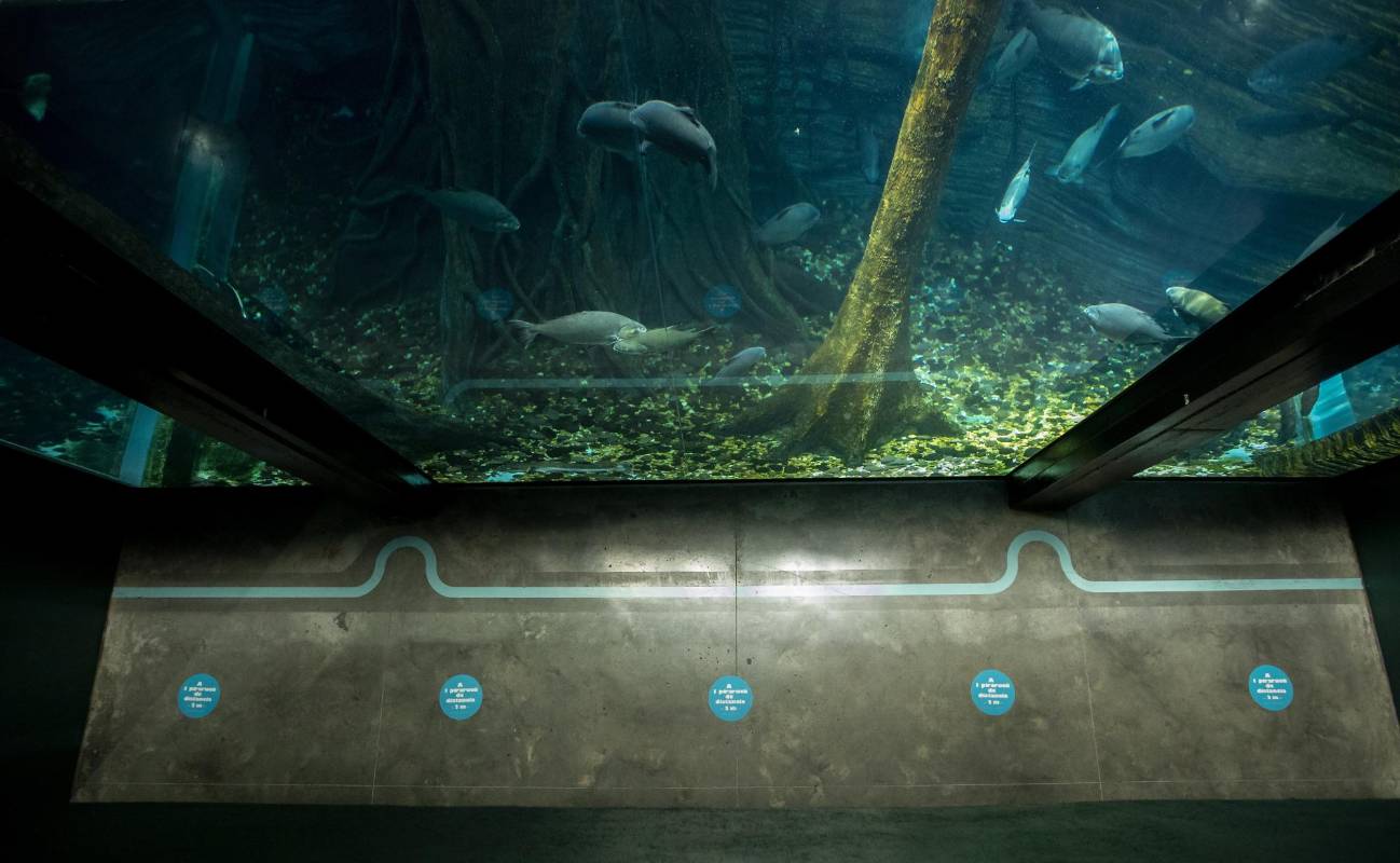 Hay nueva señalización en el acuario también. Allí podrá hacerle una visita a los pirarucús, subir y saludar al pez cirujano, y luego darse una vuelta entre los dinosaurios. FOTO ANDRÉS CAMILO SUÁREZ
