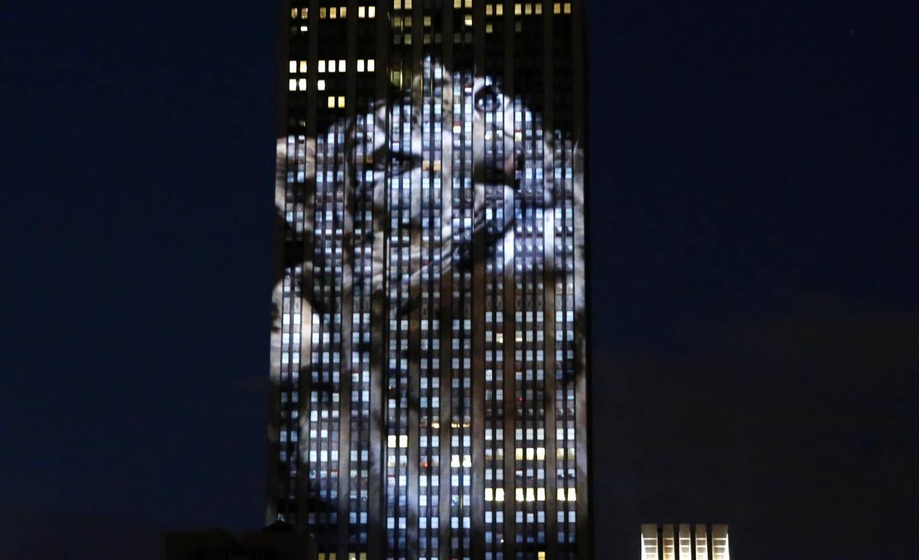 Tigres, leones y ballenas fueron algunos de los animales que pudieron verse sobre el edificio, gracias a un sistema formado por 40 potentes proyectores e instalado en la azotea de otra torre cercana. FOTO AP