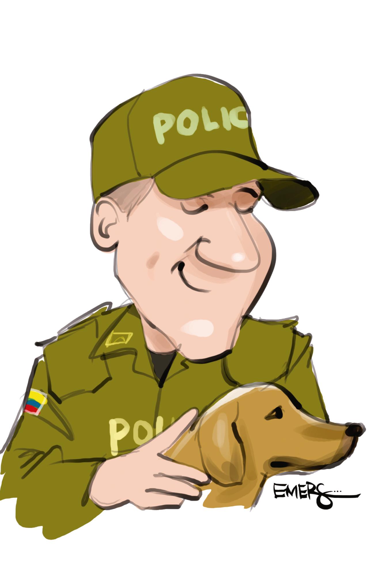 InfogrÃ¡fico