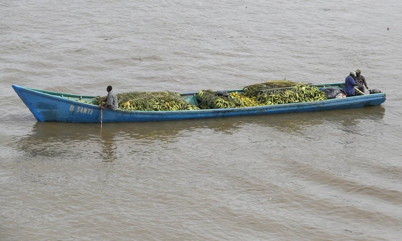 Después de coger la cosecha de plátano, los canoeros se dirigen al municipio de Guapi para vender la producción. Foto: Manuel Saldarriaga Quintero