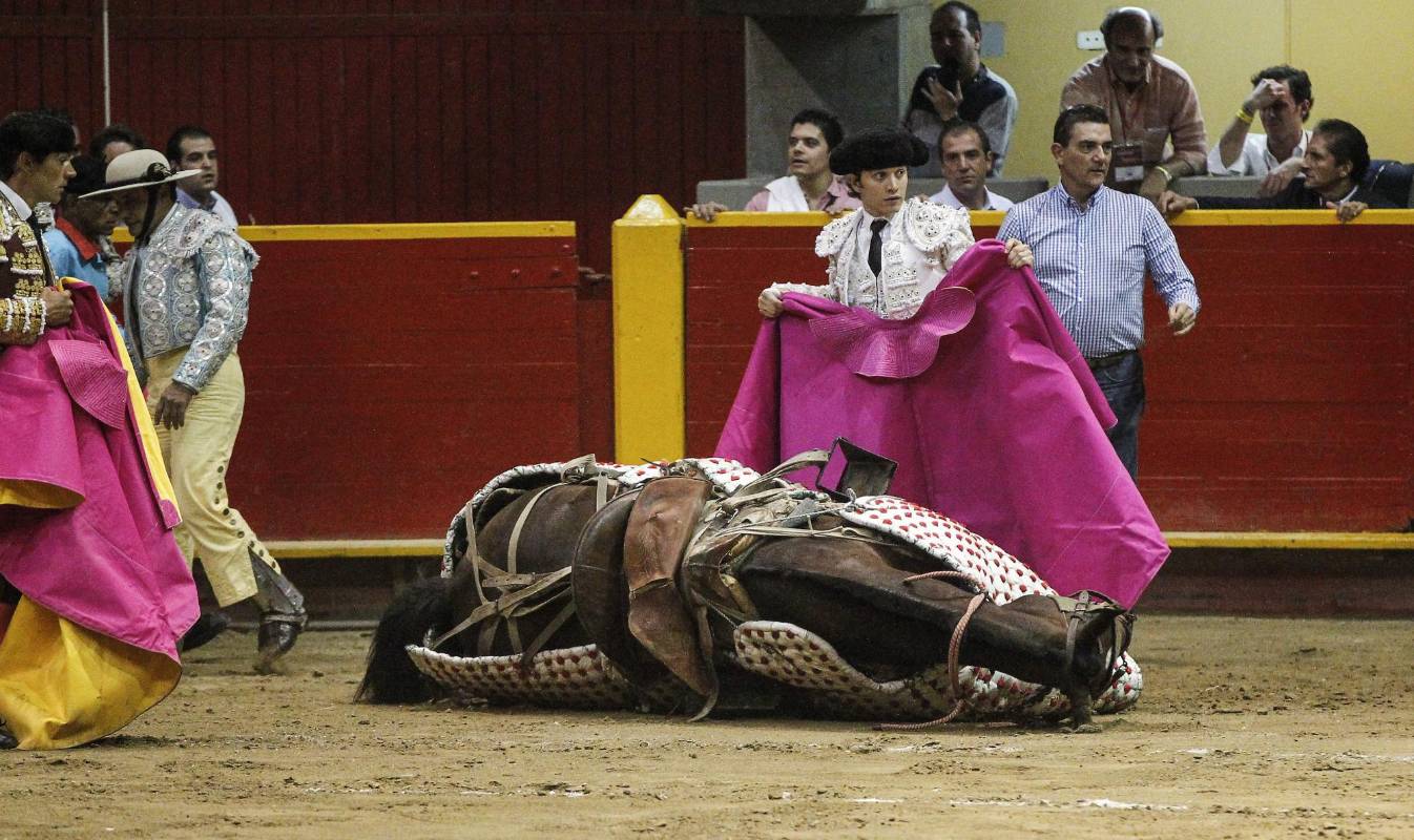 Finalmente el animal se desplomó y luego de ser atendido por veterinarios tuvo que ser sacrificado. FOTO JAIME PÉREZ