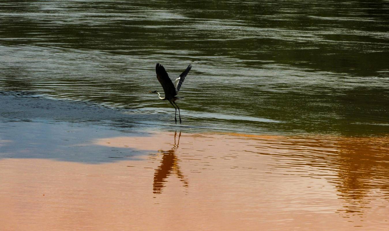 Contaminación en el río Cauca por minería. Foto Jaime Pérez