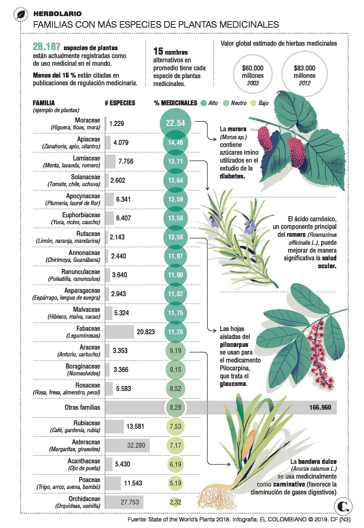 InfogrÃ¡fico