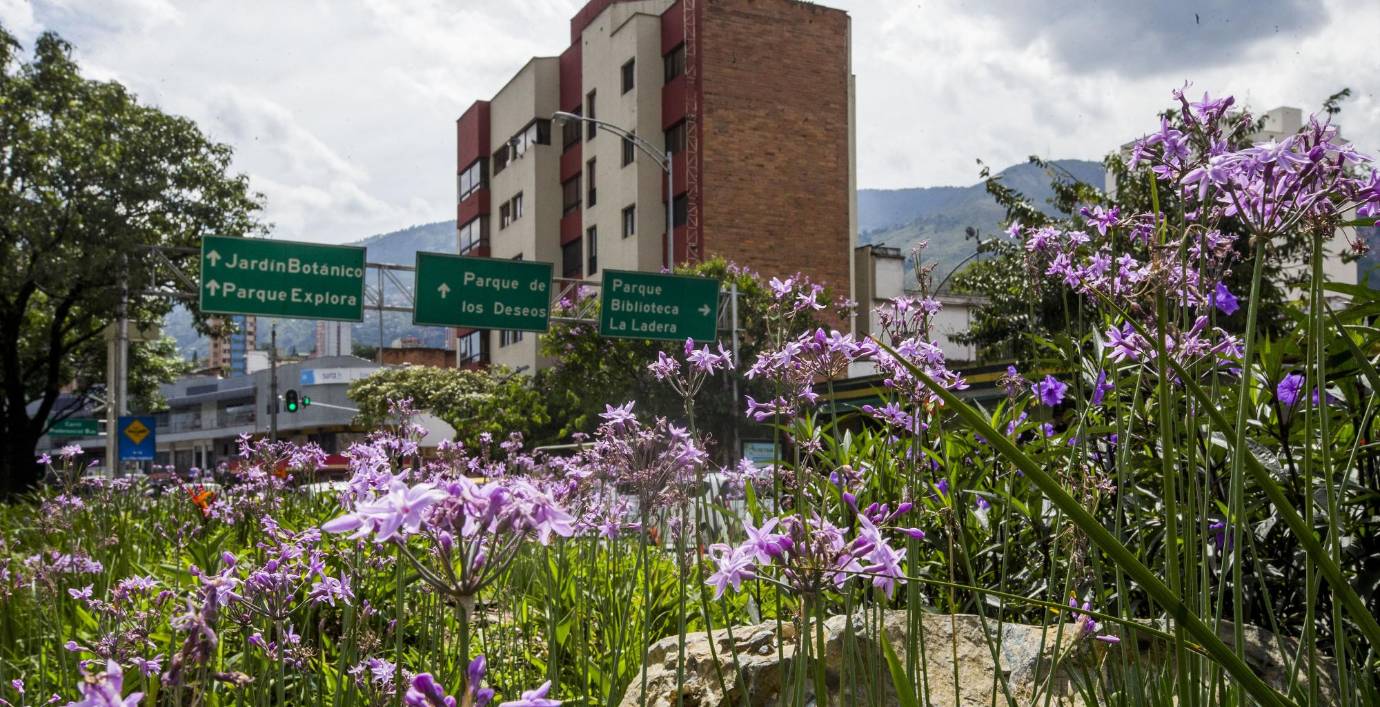 El cambio en el paisaje fue total, después de derribar las pirámides que causaron tanta polémica en los ciudadanos. FFoto: Julio César Herrera.