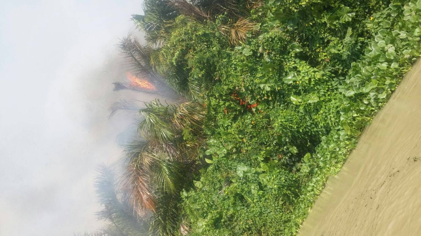 El incendio llegó a humedales cercanos a las ciénagas del municipio de Unguía. FOTO CORTESÍA