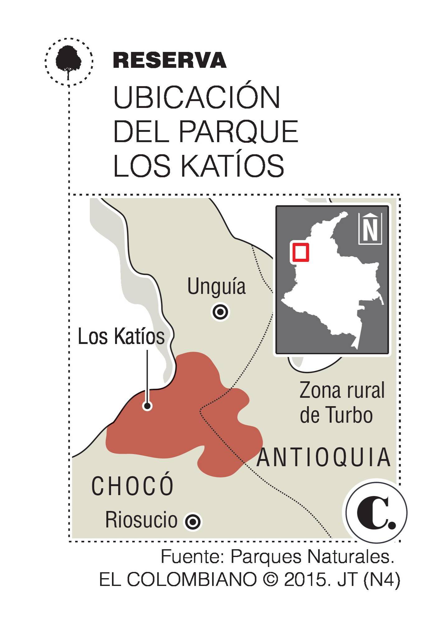 InfogrÃ¡fico