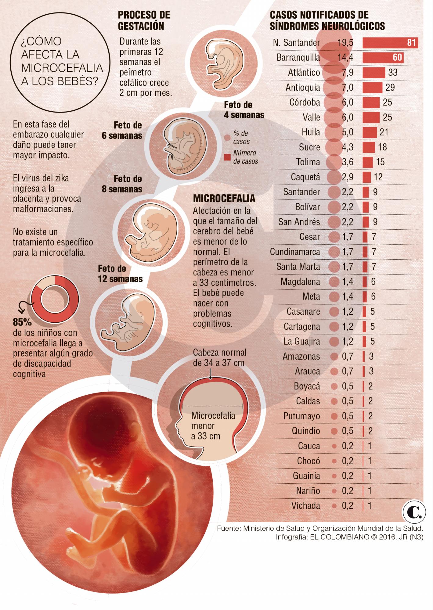 InfogrÃ¡fico