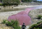 La coloración del río por residuos industriales lo carga de sustancias químicas o tóxicas. También limita el proceso de fotosíntesis y altera su equilibrio porque reduce el oxígeno. FOTO archivo