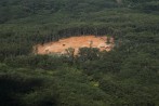 Antioquia ha sido uno de los departamentos con mayor deforestación en Colombia. FOTO ARCHIVO ESTEBAN VANEGAS