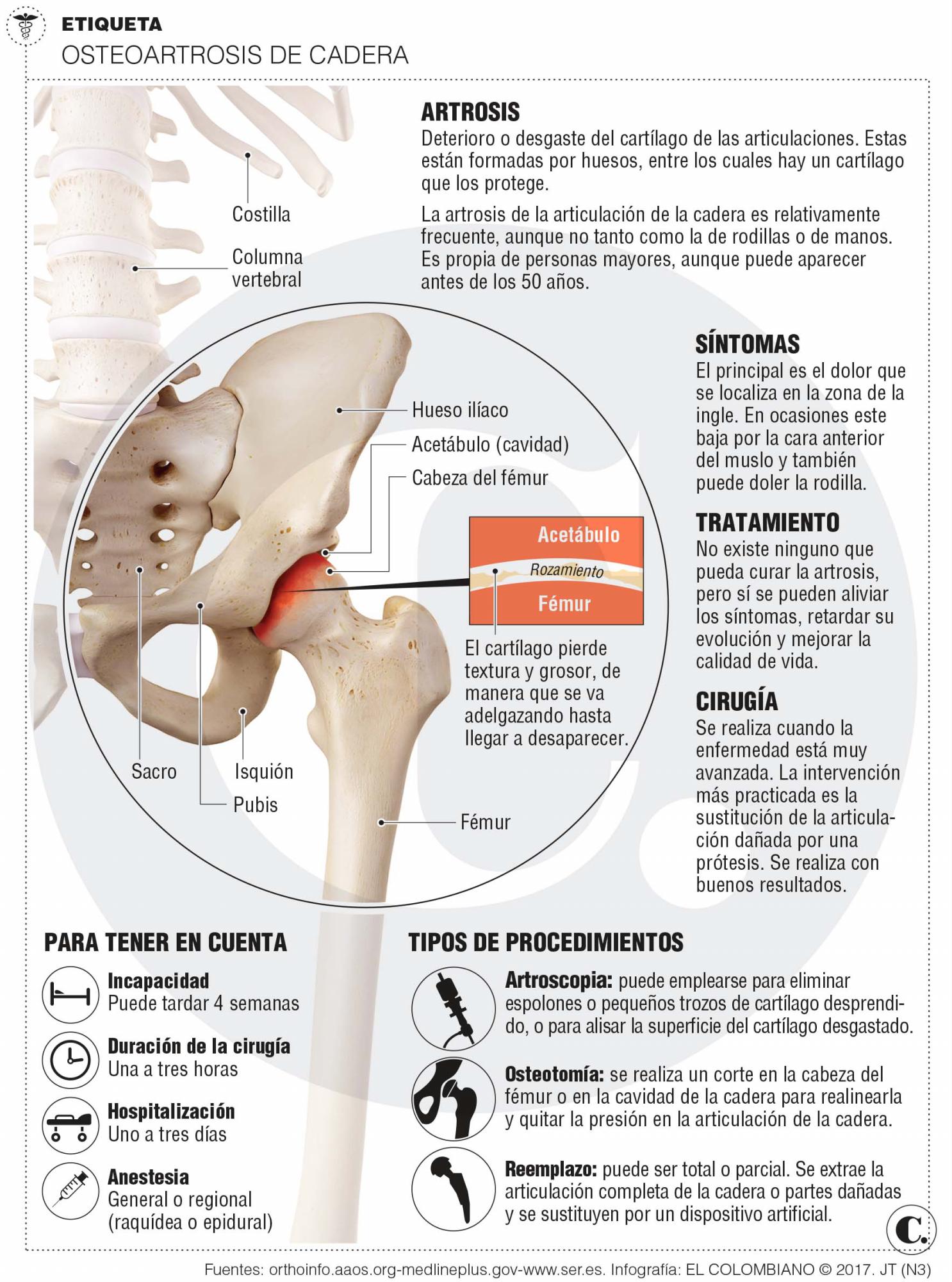 InfogrÃ¡fico