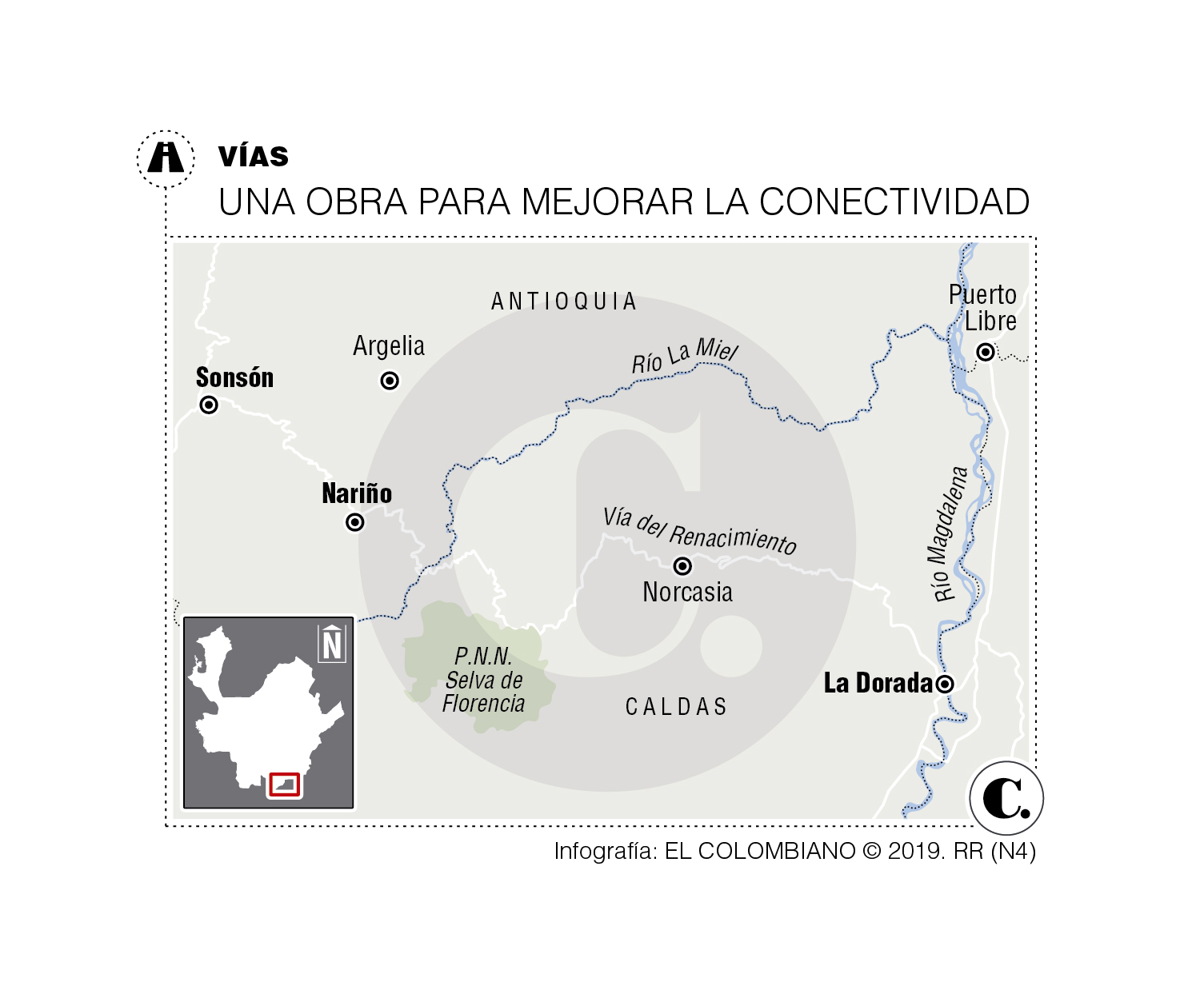 InfogrÃ¡fico