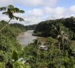 Cultivos de coca en frontera con Ecuador. Fotos: Manuel Saldarriaga
