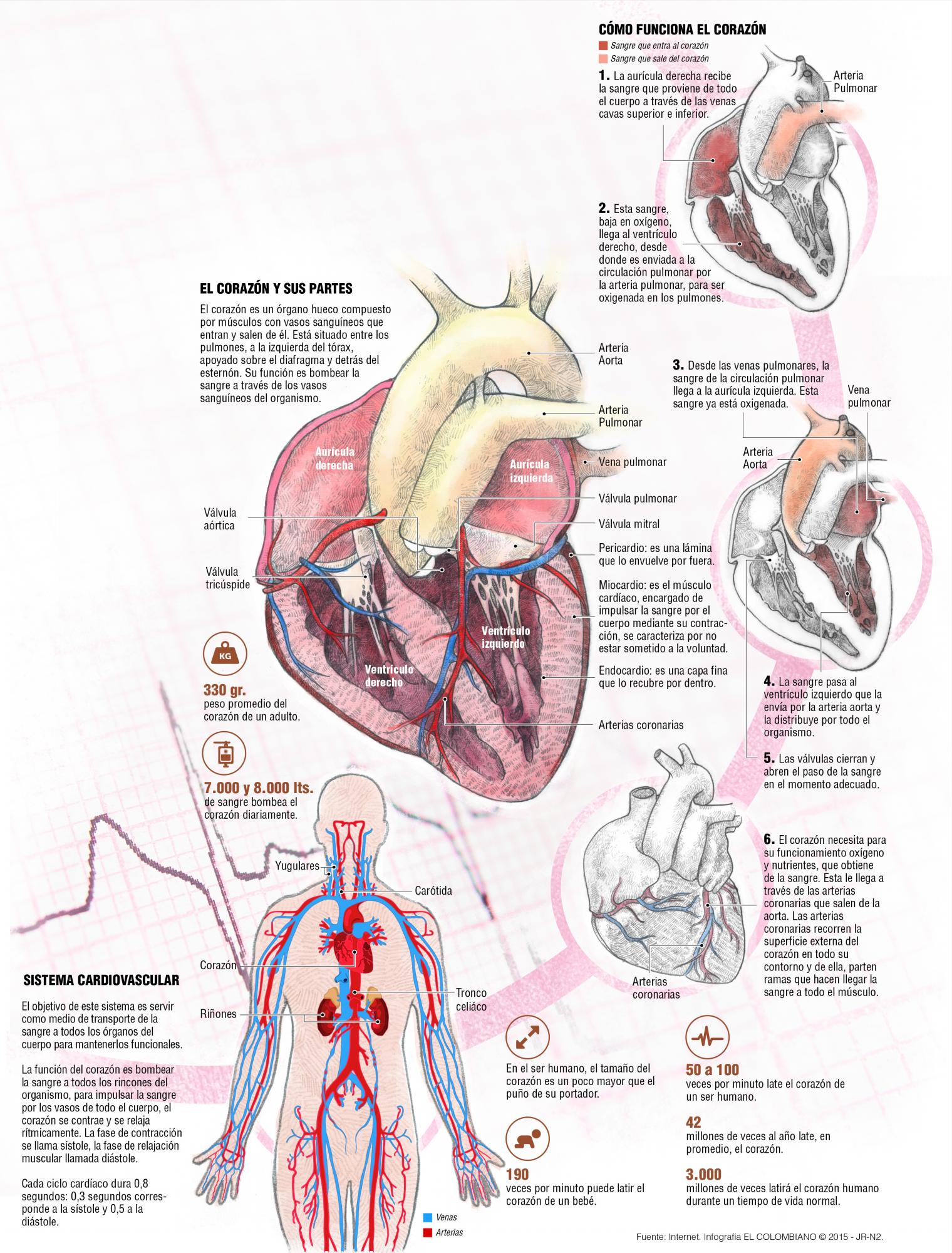 InfogrÃ¡fico