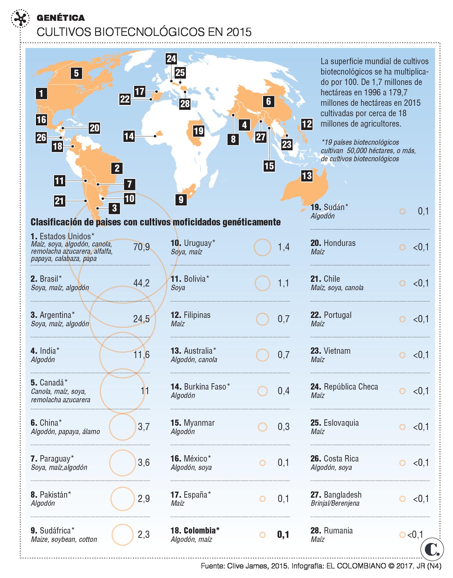 InfogrÃ¡fico