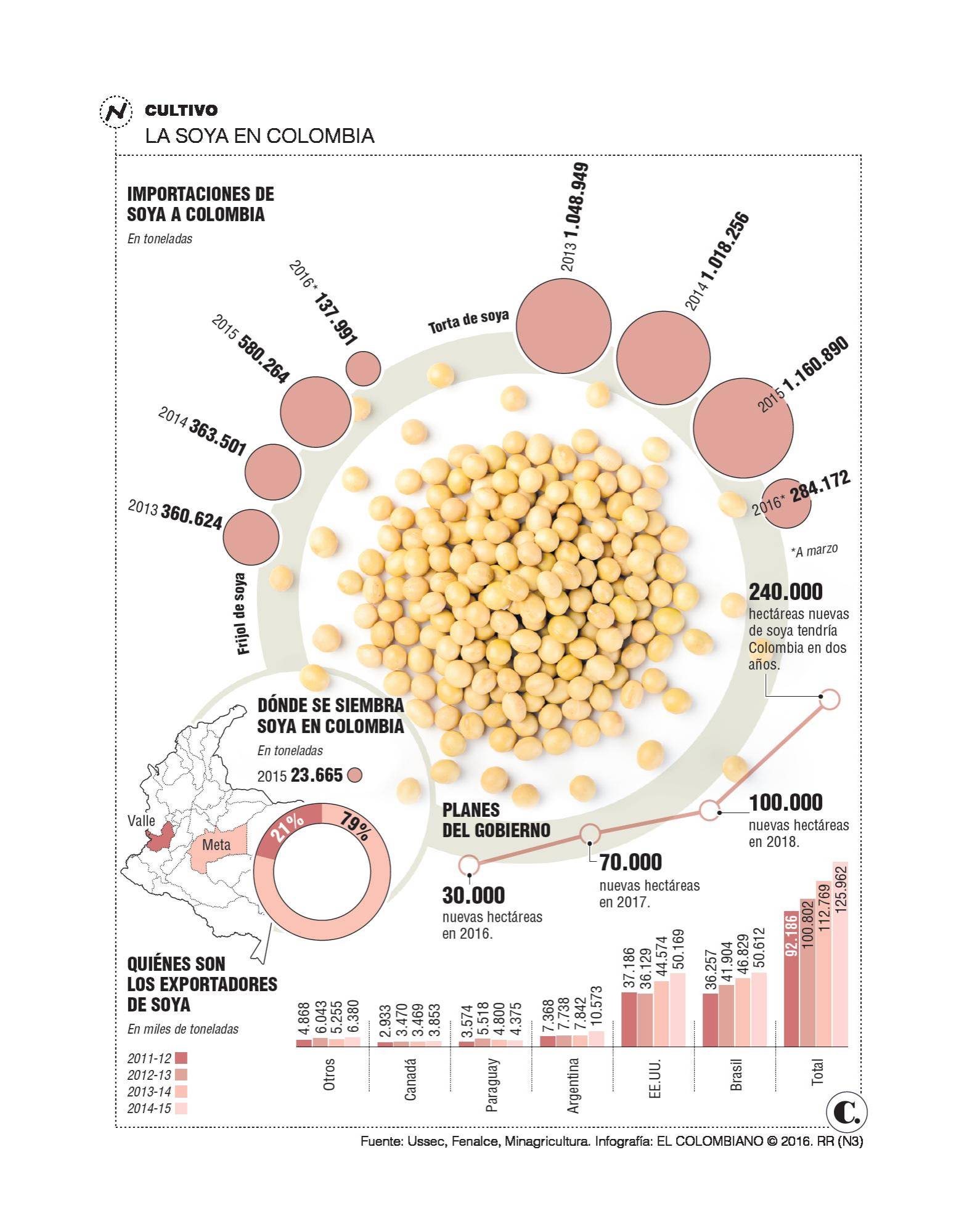 InfogrÃ¡fico