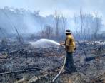 El incendio en Las Albercas se presenta desde la tarde del jueves en el área protegida. FOTO Parques Nacionales Naturales de Colombia 