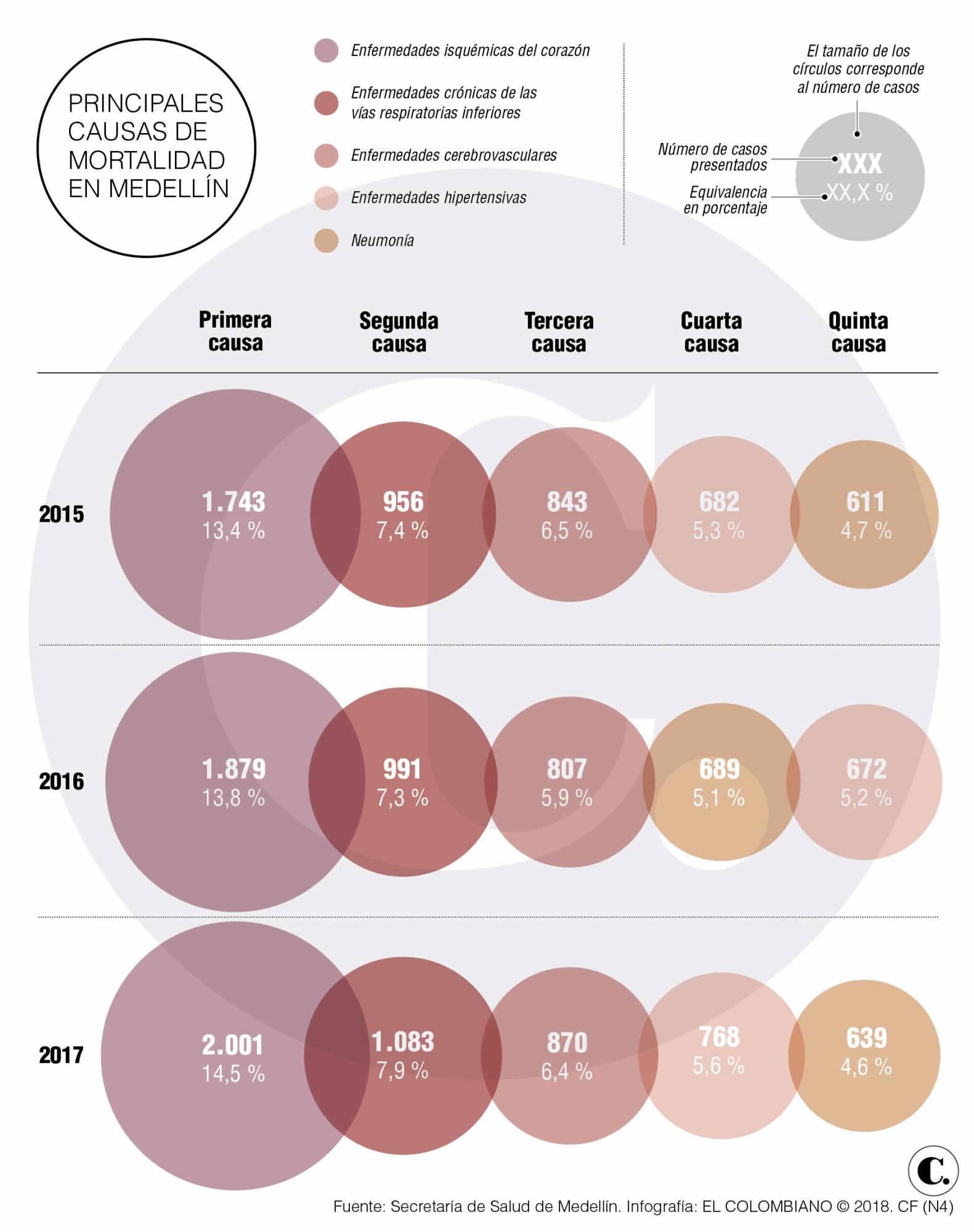 InfogrÃ¡fico