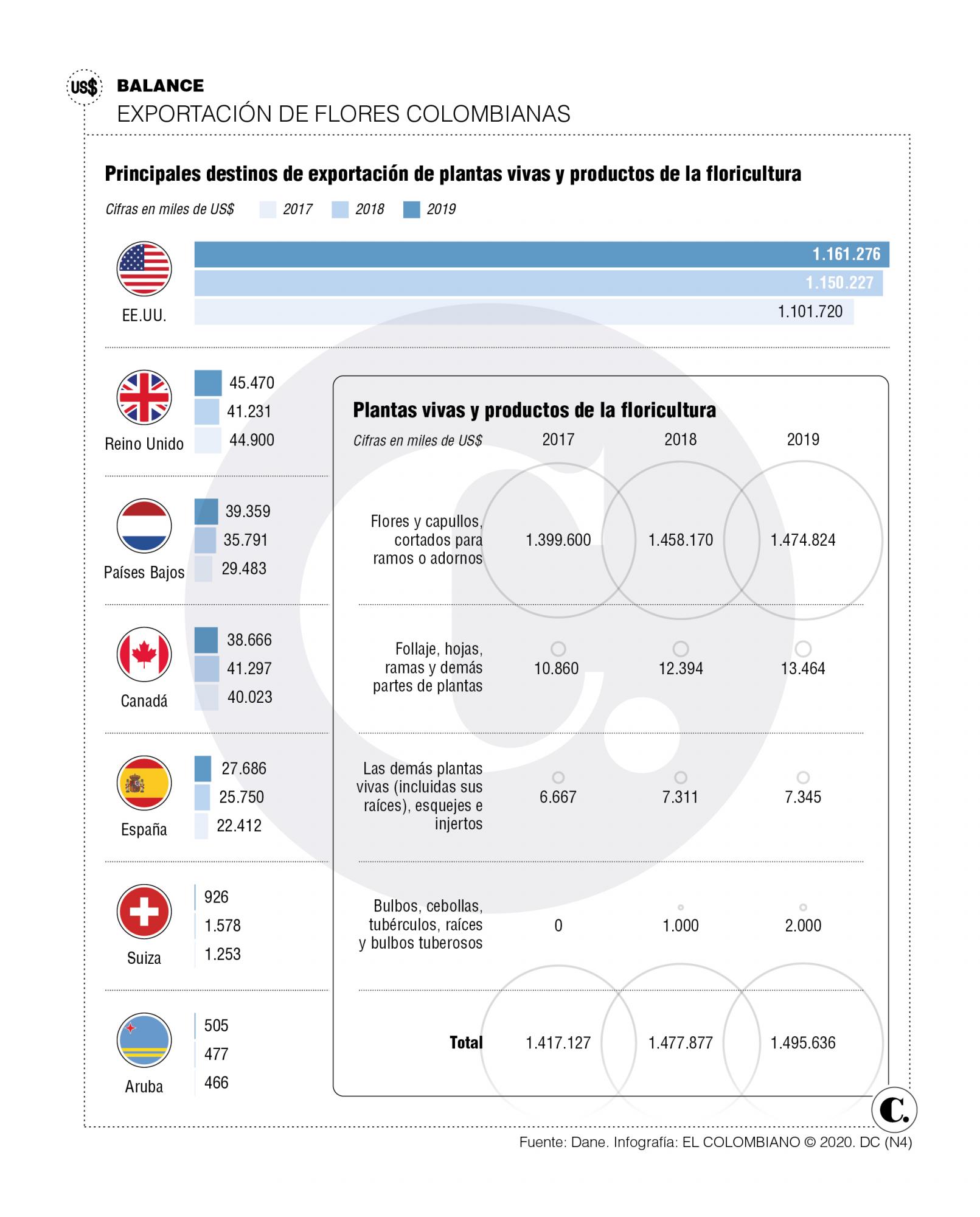 InfogrÃ¡fico