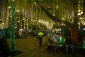 Envigado encendió hoy miércoles 18 de noviembre su alumbrado navideño, convirtiéndose en el primer municipio de Área Metropolitana en iluminar de colores sus calle y parques. Foto: Esteban Vanegas.