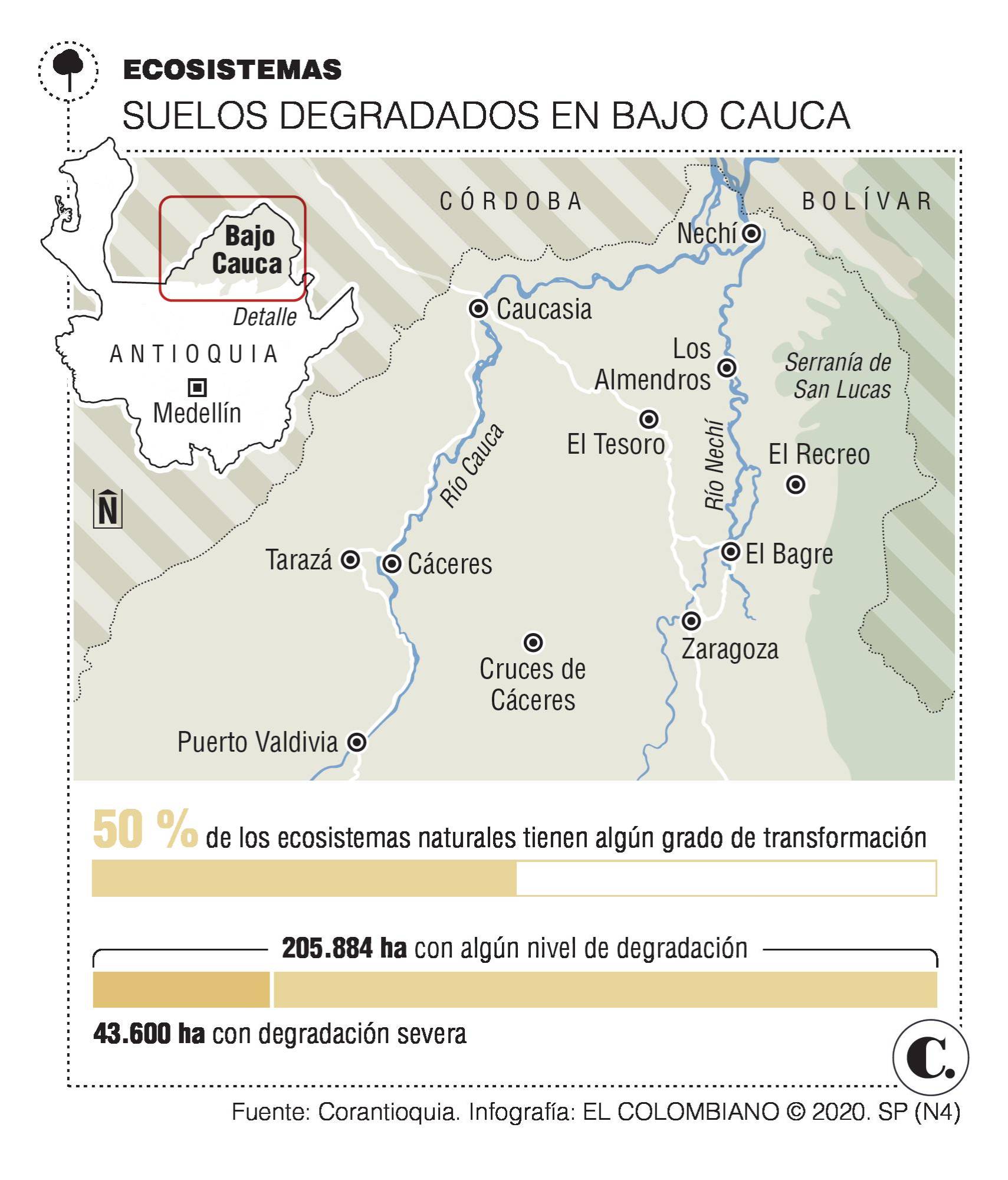 InfogrÃ¡fico