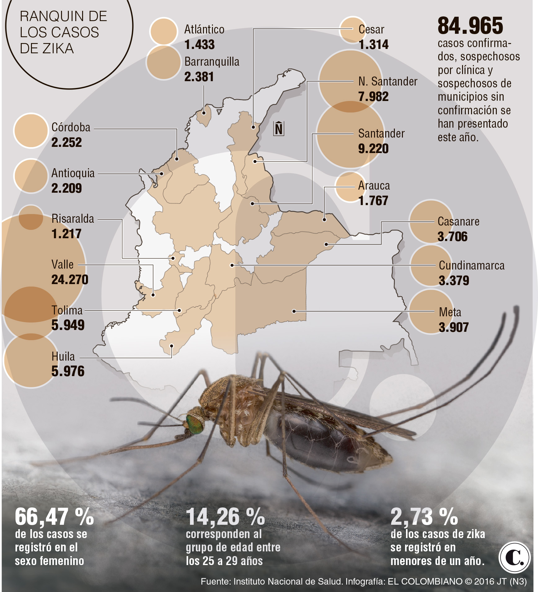 InfogrÃ¡fico