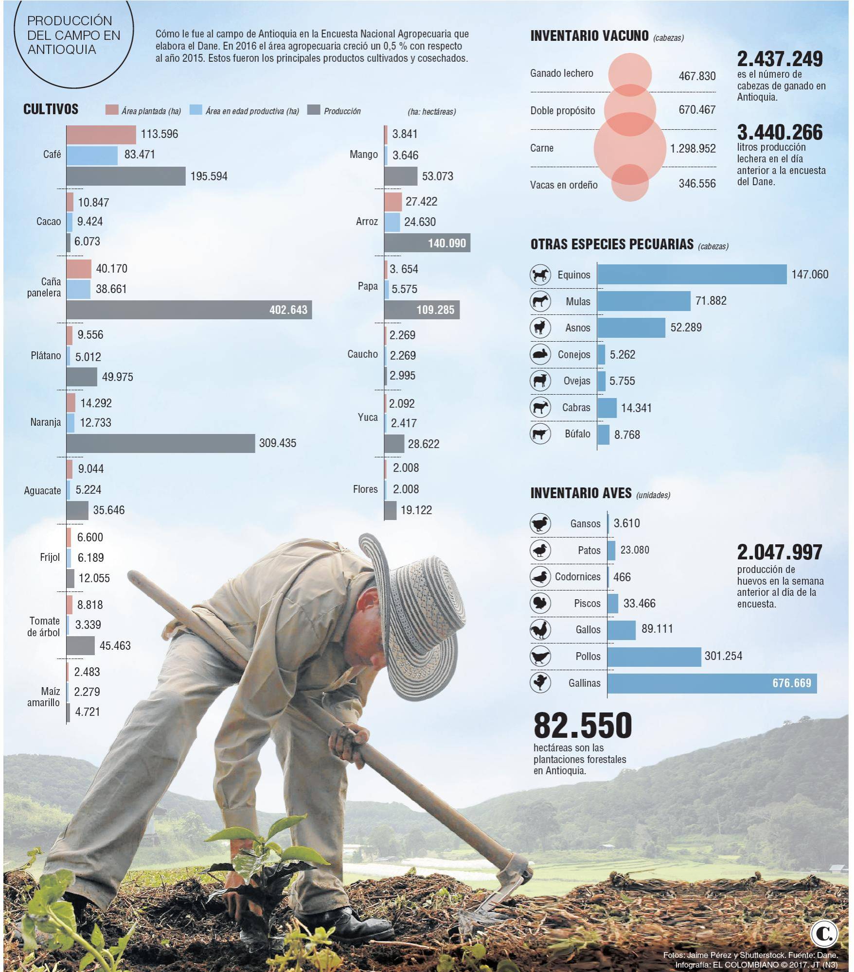 InfogrÃ¡fico