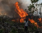 Una de las prácticas que usa en el Amazonas para abrir potreros es la quema. También la construcción e unas vías hace parte de la tala indiscriminada que vive la región. FOTO Andrés Cardona