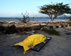 Así quedó Palu tras el terremoto y posterior tsunami. FOTO EFE