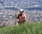 El área rural de Medellín tiene potencial en flores, frutales de clima medio - frío, café y hortalizas. La apuesta es que producir sea un buen negocio para los campesinos. FOTO JAime Pérez