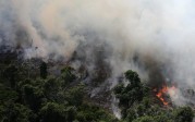 Hace más de 17 días se dispararon los incendios forestales, aparentemente causados por el hombre. FOTO REUTERS