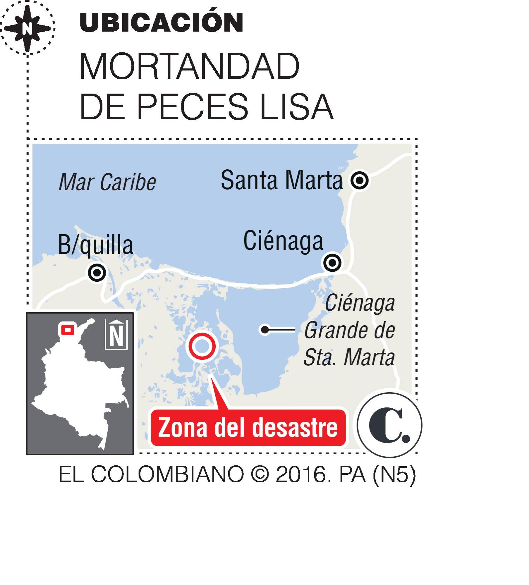 InfogrÃ¡fico