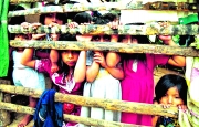ArchivoLa Organización Nacional Indígena de Colombia (Onic) reaccionó ante las denuncias sobre Cliptoridectomía en algunas comunidades indígenas. Reclamó el derecho a la autonomía cultural que les otorga la Constitución, para investigar a fondo lo sucedido en un resguardo de Risaralda.
