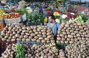 Donaldo ZuluagaEn Colombia se presenta una amplia gama de sistemas agroecológicos que, en el caso de la producción comercial de papa, se localiza entre los 2.000 y 3.500 metros sobre el nivel del mar.