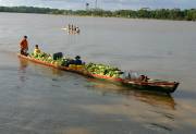 El río Atrato es la principal vía de comunicación para muchos de los habitantes de Chocó y, a pesar de que está muy vigilado por la Fuerza Pública, es usado también por los grupos armados ilegales para sacar drogas y entrar armas, municiones y víveres.