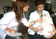 Donaldo ZuluagaJuliana Calle es una etóloga, una médica veterinaria dedicada a solucionar los problemas de comportamiento de las mascotas, como el caso de Micky, un french poodle que vive con su dueña, Marina Giraldo, y aprovecha las escapadas de la casa para "robar" comida donde los vecinos.
