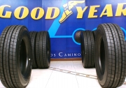 CortesíaCon estas referencias Goodyear muestra su calidad ante el mundo, ya que se exportarán a Venezuela, Chile, México y Estados Unidos.