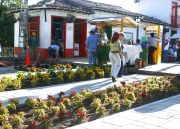 Hernán ChicaAl Pueblito Paisa llegó la primavera. El lugar florece de aromas y colores por cuenta de las flores y las amplias zonas verdes que se adecuaron en el lugar como parte del proyecto de intervención, que busca consolidar la vocación ecoturística del cerro y su atractivo principal, la réplica del pueblito antioqueño.