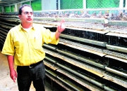 Hernán VanegasJuan Carlos Franco, ingeniero de producción, está dedicado al comercio de las codornices desde hace nueve años. Al mes produce 10.000 para levante.