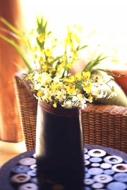 Tendencia sí pero con personalidad propia